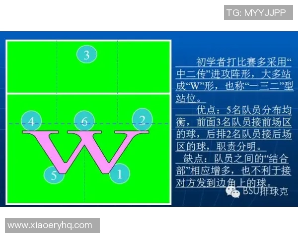排球深度解析:西安排球队进攻策略与战术的全景剖析